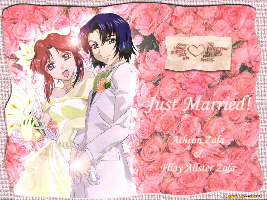 , gundam, seed